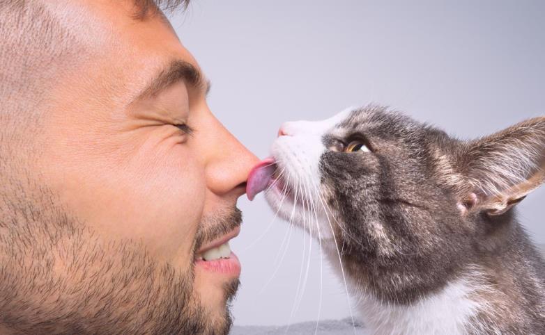 9 motivi per cui il vostro gatto vi lecca la faccia 