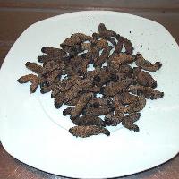 Mopane worms  | Wikimedia Commons