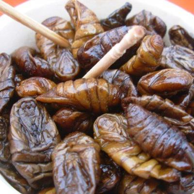 Beondegi - Cibo