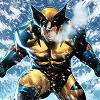 Wolverine  | Marvel Comics