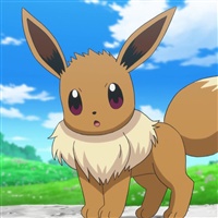 Eevee  | The Pokémon Company