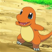 Charmander  | The Pokémon Company