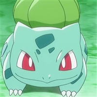Bulbasaur  | The Pokémon Company