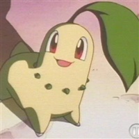 Chikorita  | The Pokémon Company