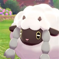 Wooloo  | The Pokémon Company