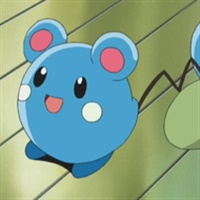 Azurill  | The Pokémon Company