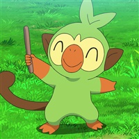 Grookey  | The Pokémon Company