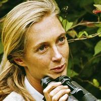 Jane Goodall  | 