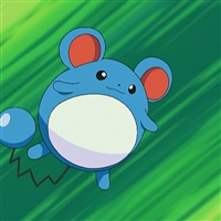 Marill  | Game Freak