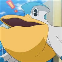 Pelipper  | The Pokemon Company