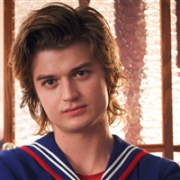 Steve Harrington  | netflix