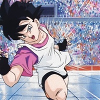 World Tournament Saga  | Toei Animation