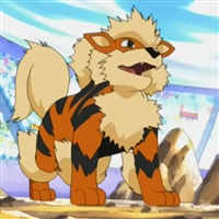 Arcanine  | 
