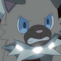 Rockruff  | 