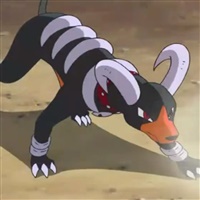 Houndoom  | 