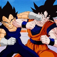 Goku vs Vegeta  | Toei Animation