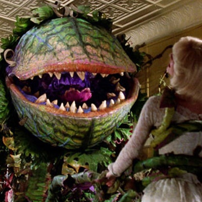 La piccola bottega degli orrori