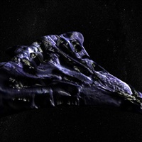 Incrociatore Wraith  | MGM Television