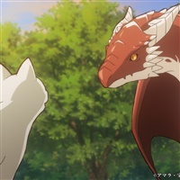 The Cat and the Dragon  | OLM