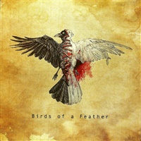 Birds of a feather  | Darkroom / Interscope Records