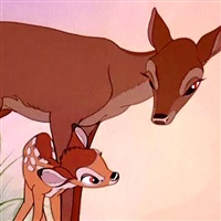 La madre di Bambi nel film d'animazione Disney del 1942