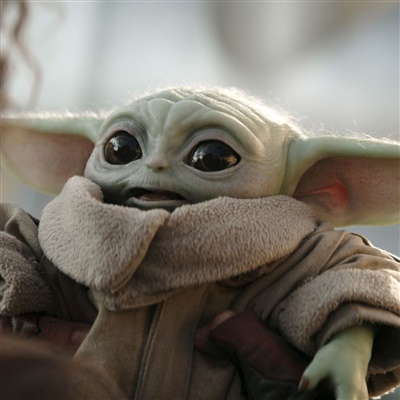 Grogu, il piccolo della specie di Yoda protagonista di The Mandalorian, detto Baby Yoda