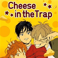 Cheese in the Trap